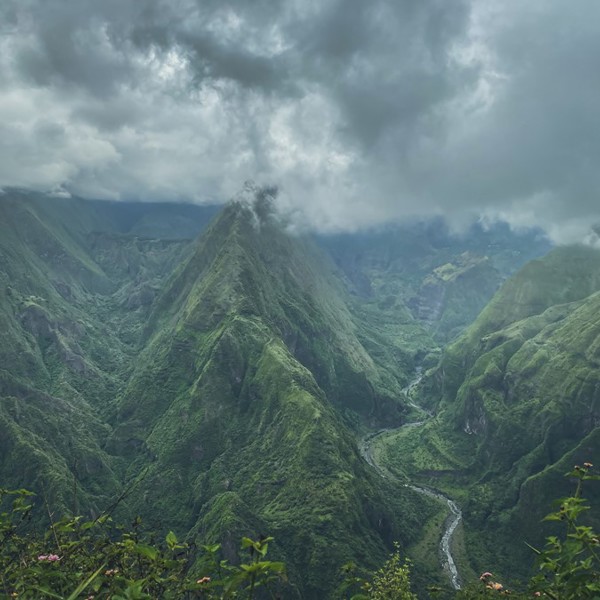 Reunions grønne bjerge
