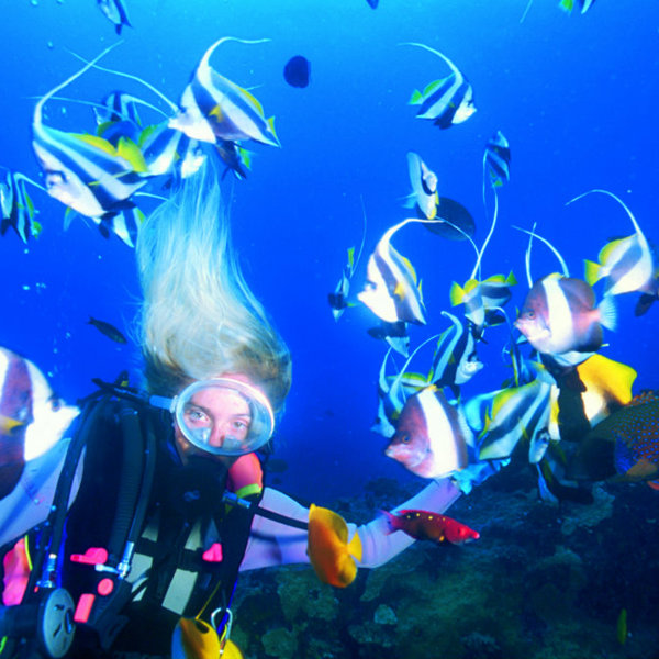 Dykning langs kysten på La Réunion