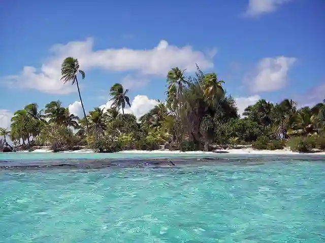 Ægte palmeparadis idyl på Aitutaki, Cook Islands