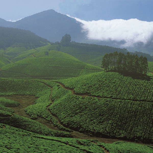 natur oplevelser i syd indien