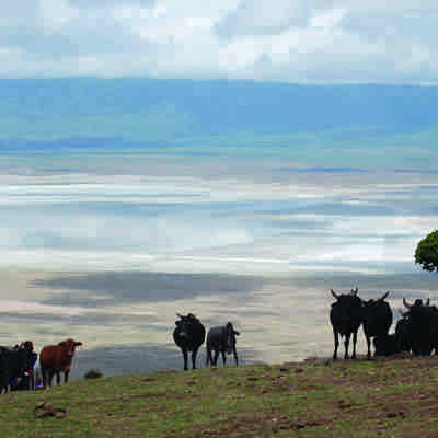Day_6_Ngorongoro_Conservation_area