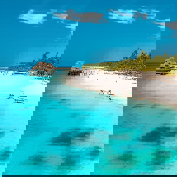 Rejser til Zanzibar