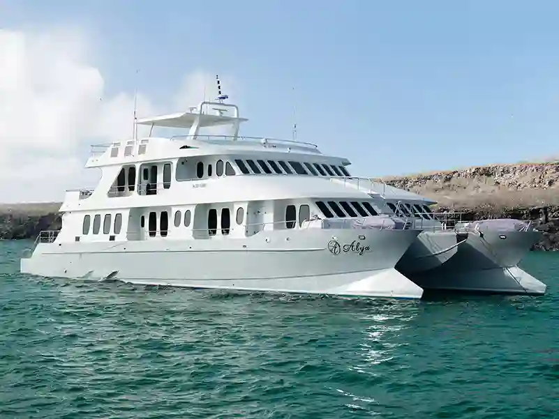 Luksus krydstogt på Galapagos med Alya