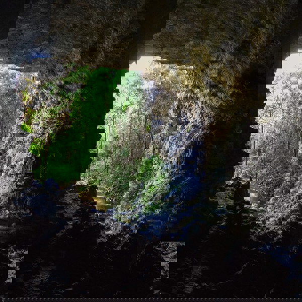 Mørke grotter i junglen i Belize