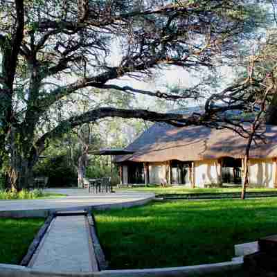 Det hyggelige Camelthorn Lodge, Zimbabwe