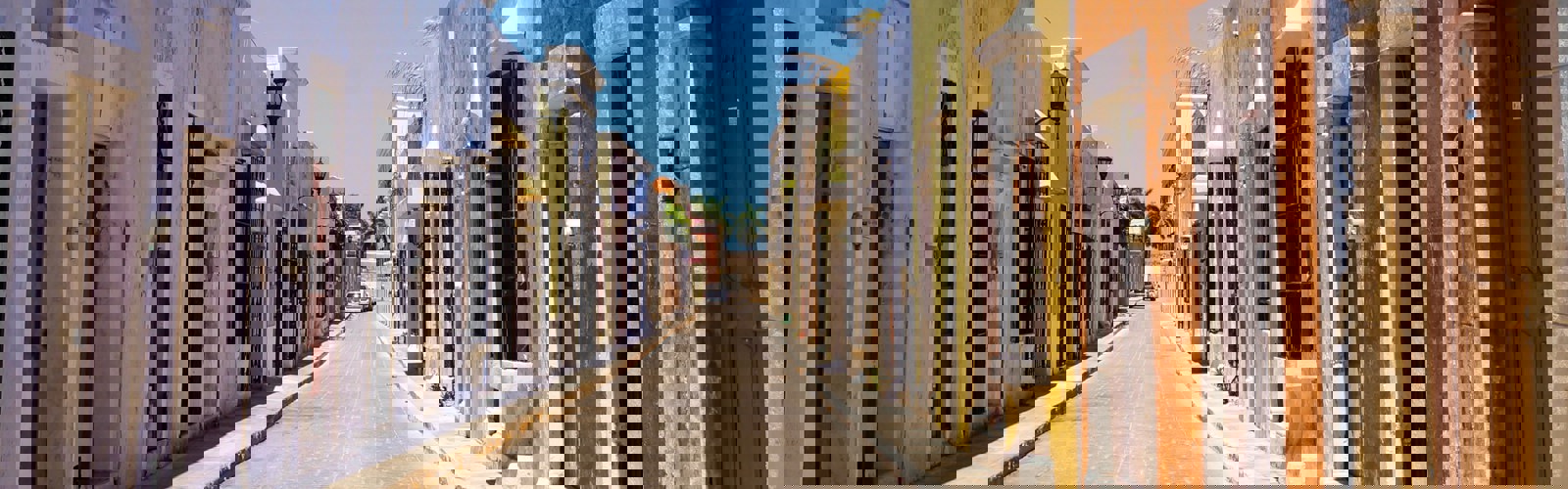 enrique-amaya-dYTO92Y3qAU-unsplash