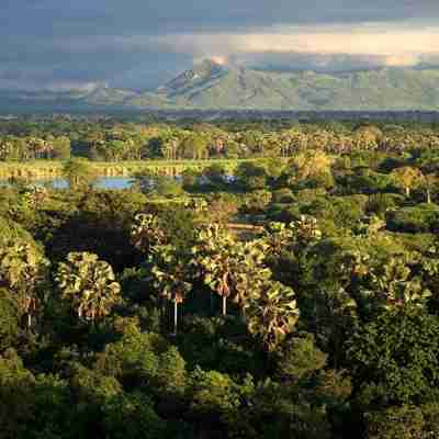 Malawis frodige landskab