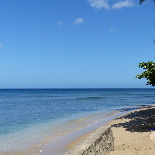 Kysten langs Trinidad