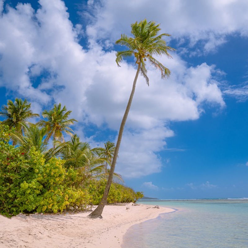 Saint Annes smukke strand på Guadeloupe